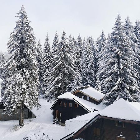 Apartments Zed Vila Zvoncica Kopaonik Eksteriør billede