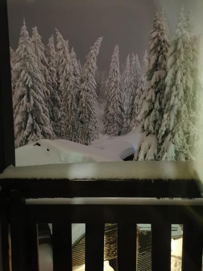 Apartments Zed Vila Zvoncica Kopaonik Eksteriør billede