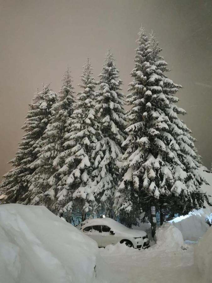 Apartments Zed Vila Zvoncica Kopaonik Eksteriør billede
