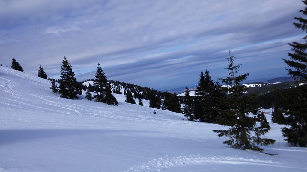 Apartments Zed Vila Zvoncica Kopaonik Eksteriør billede