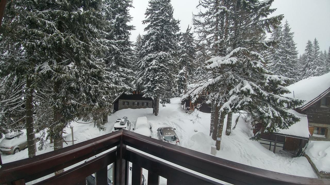 Apartments Zed Vila Zvoncica Kopaonik Eksteriør billede