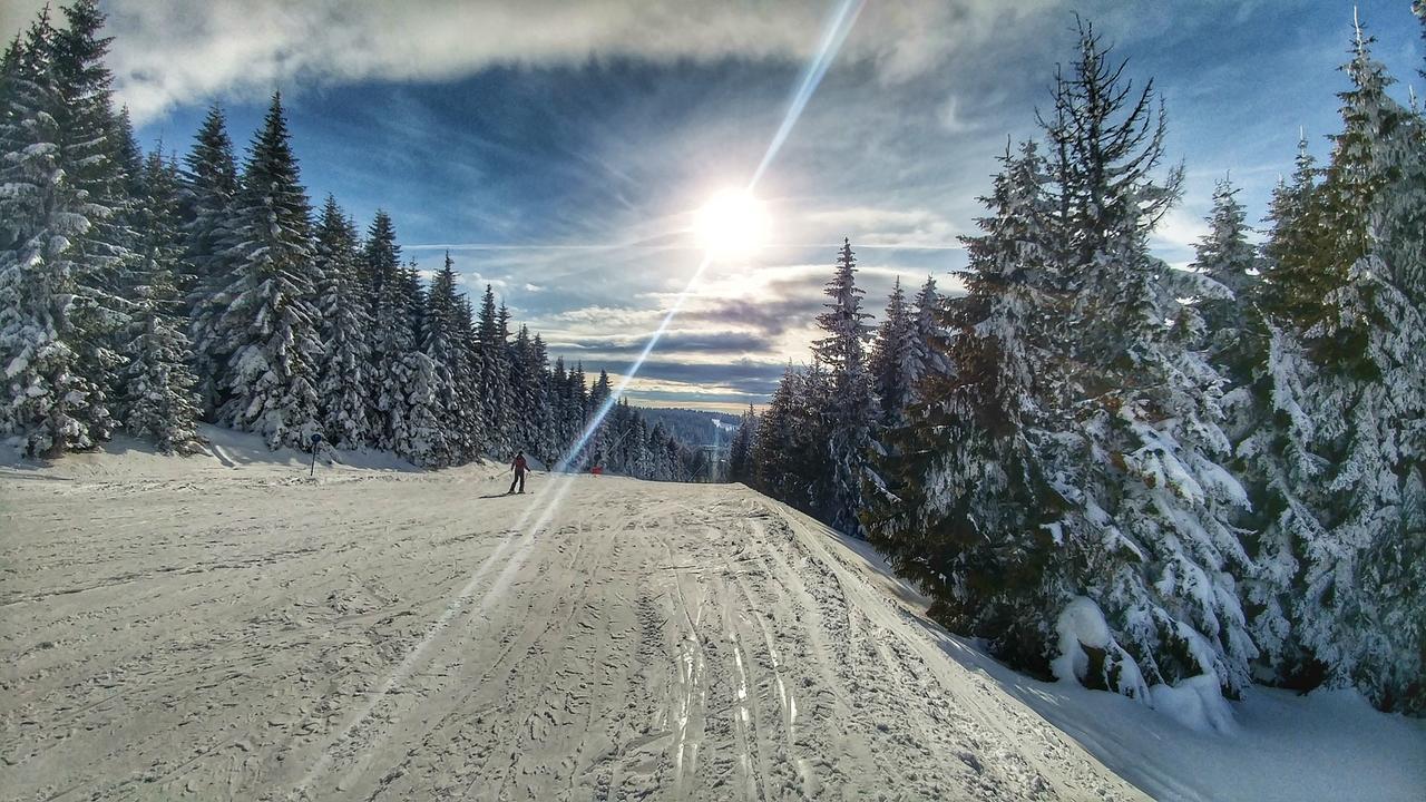 Apartments Zed Vila Zvoncica Kopaonik Eksteriør billede