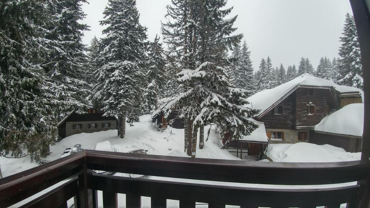 Apartments Zed Vila Zvoncica Kopaonik Eksteriør billede